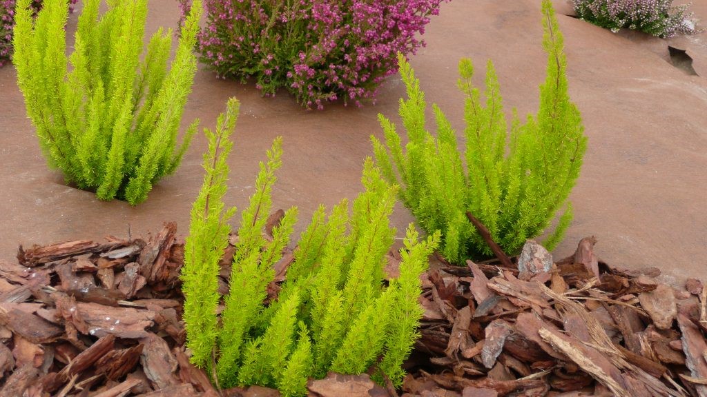 projar DuPont-Plantex-Gold_1-1024x768|projar mallas dupont|projar mallas dupont
